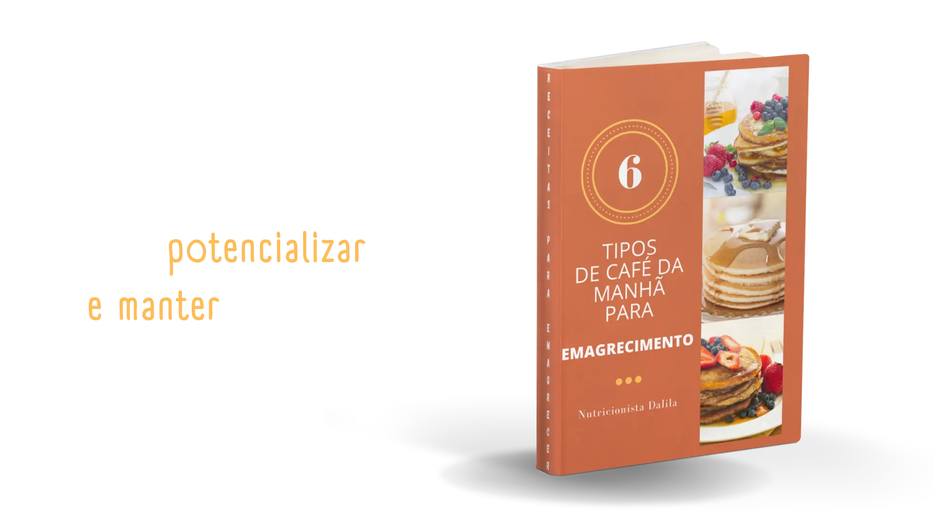 12 protocolos específicos